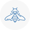 Bee Nest Removal Nottinghamshire