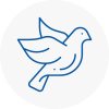Bird Prevention Nottinghamshire