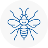 Nottinghamshire Hornet Nest Removals