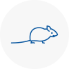 Mice Exterminators In Nottinghamshire