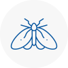 Moth Control Specialists In Nottinghamshire