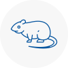 Rat Control Nottinghamshire