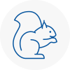 Nottinghamshire Rodent Removals